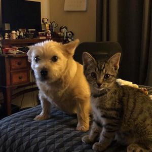 Meet your Posher, Tony